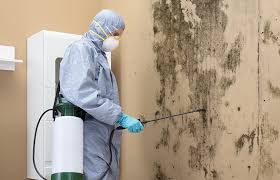 Best Mold Prevention Services  in Mineville, NY